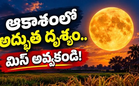 Harvest Moon 2026: ఈ వీకెండ్‌లో ఆకాశంలో అద్భుతం.. ప్రత్యేకతలు ఇవే!