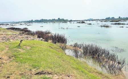 Tummidihatti Barrage | ‘తమ్మిడిహట్టి’పై ‘మహా’ సస్పెన్స్‌.. 152 మీటర్ల ఎత్తుకు ఫడ్నవీస్‌ ఓకే చెప్తారా?