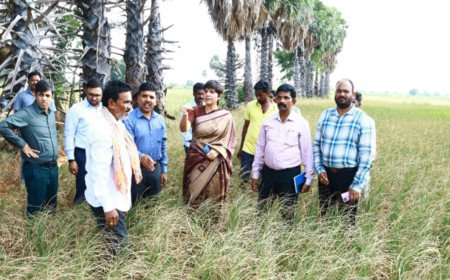 రైతులు యాసంగిలో వ‌రి వేయొద్దు : దాస‌రి హ‌రిచంద‌న‌