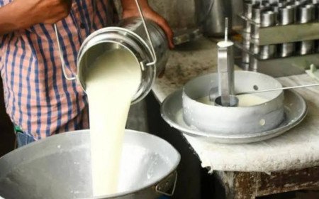 Milk Price: పొంగిన పాల ధరలు.. లీటరుపై ఏకంగా 8 రూపాయలు పెంపు