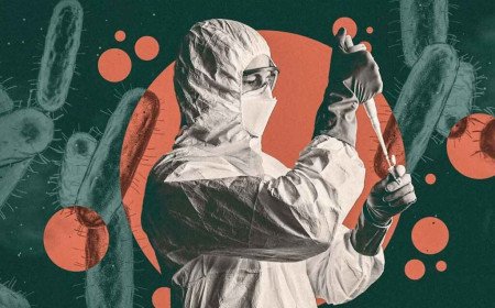Plague Disease | ప్లేగు వ్యాధిలో అస‌లు ఎన్ని ర‌కాలు ఉన్నాయి.. ఈ వ్యాధి ఎలా వ‌స్తుంది..?