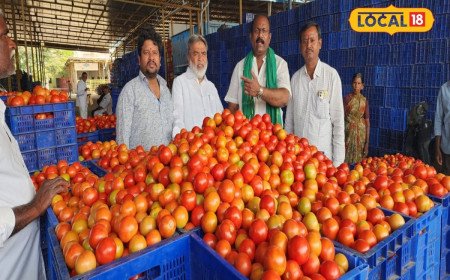 Tomato Price: ఒక్కసారిగా భారీగా పెరిగిన టమాటా ధరలు.. ఇప్పుడు కేజీ ఎంతంటే?