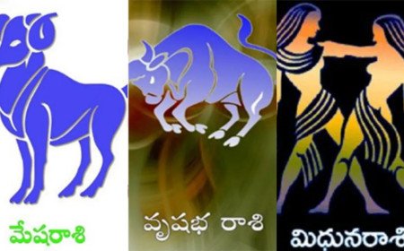మేషరాశి, వృషభరాశి, మిథునరాశి నవంబరు నెల జాతక ఫలం