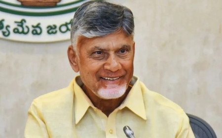 స్థానిక సంస్థల ఎన్నికల వేళ సీఎం చంద్రబాబు కీలక వ్యాఖ్యలు