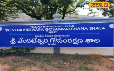 తిరుపతి ఎస్వీ గోశాలకు 5 దేశీయ గోవులను విరాళంగా అందజేసిన టీటీడీ అదనపు ఈవో వెంకయ్య చౌదరి..