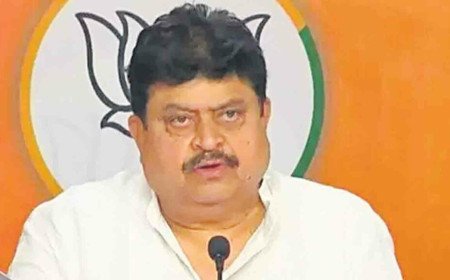 సర్‌’పై ఆరోపణలు నిరాధారం