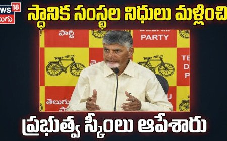 స్థానిక సంస్థల నిధులు మళ్లించి ప్రభుత్వ స్కీంలు ఆపేశారు