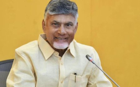 AP Local Body Elections 2026: స్థానిక సంస్థల్లో కూటమి అభ్యర్ధుల్ని గెలిపించండి.. రాష్ట్రం రూపురేఖలు మార్చేస్తామంటూ చంద్రబాబు వాగ్ధానం