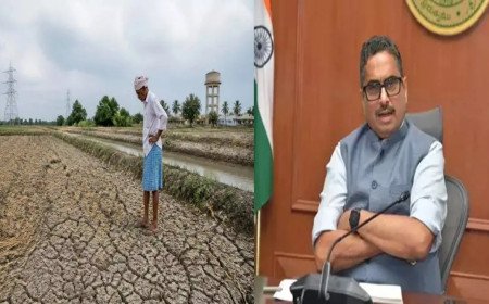 తెలంగాణలో ఎల్ నినో పై సీఎస్ కీలక సమీక్ష.. నెలాఖరులోపు కరవు నివేదిక సిద్ధం చేయాలని ఆదేశం