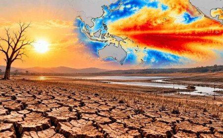 El Nino | కరువు, ఎల్‌నినో పరిస్థితులపై కేబినెట్ సబ్‌కమిటీ ఏర్పాటు.. చైర్మన్‌గా భట్టి విక్రమార్క!