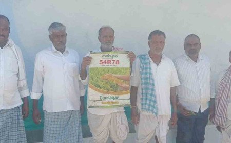 Medak | నకిలీ విత్తనాలతో మోసపోయిన రైతులు..  ప్రశ్నిస్తే కేసులు పెడతామని బెదిస్తున్న షాపు యజమాని