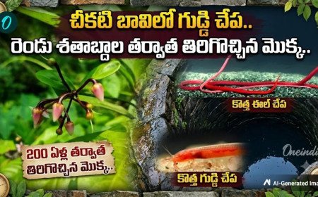 204 ఏళ్ల తర్వాత ప్రకృతే అవాక్కయ్యే వింత.. సీఎం సంచలన పోస్ట్