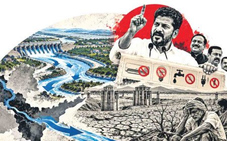 బియ్యం రేటులో రైతుకు దక్కిందెంత?!