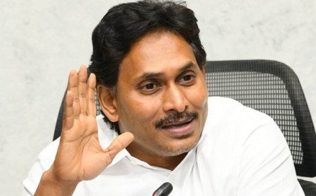 Jagan Mohan Reddy: సీఈసీ చట్టానికి మద్దతు ఇవ్వడం మా తప్పే.. వైఎస్ జగన్ కీలక వ్యాఖ్యలు