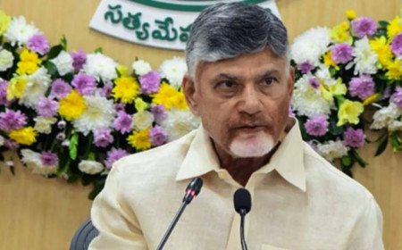 స్థానిక ఎన్నికల్లో జగన్ హిట్ అండ్ రన్ థియరీపై భగ్గుమన్న సీఎం చంద్రబాబు