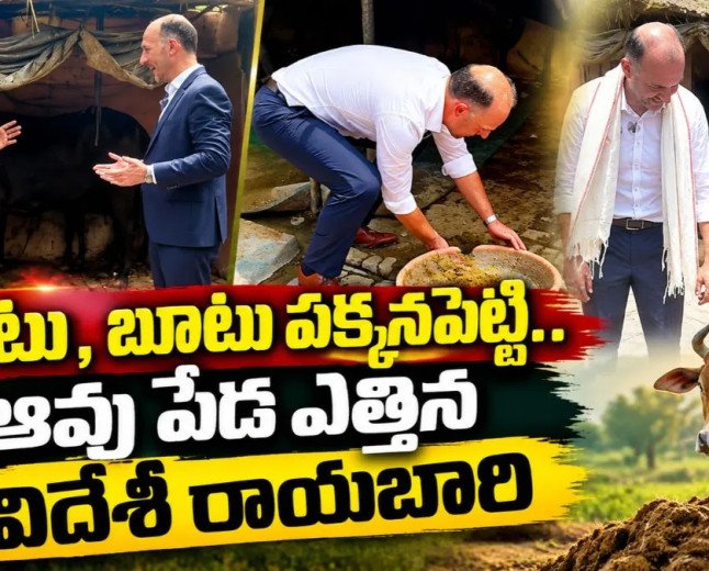 Video: పేడ ఎత్తిన జర్మన్ రాయబారి! "భారత్‌లో బతకగలవా?"
